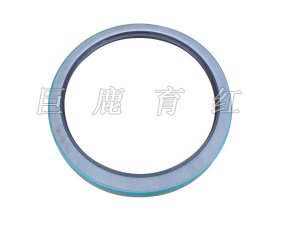 TR100 Oil seal 09062605